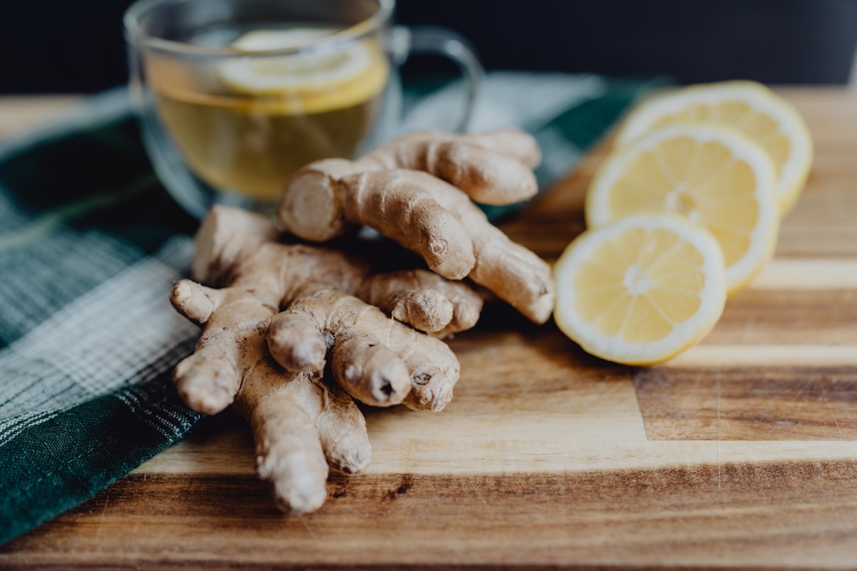 Microbioma intestinal y su relación crucial con la salud inmunológica